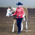 Tennessee Paint Horse Club: Music City Classic